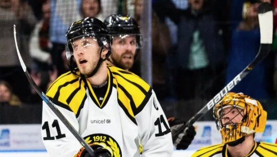 Хоккей. Швеция. Ферьестад - Векшё. Прогноз: ИТ-2 (2.5) Б