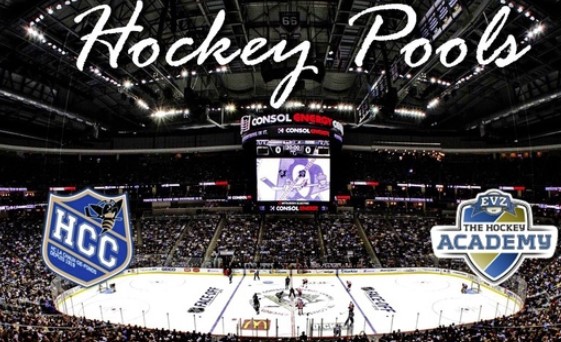 Хоккей. Швейцария. Шо де Фонд — ГСК Лионс. Прогноз: ИТ-2 (2) Б