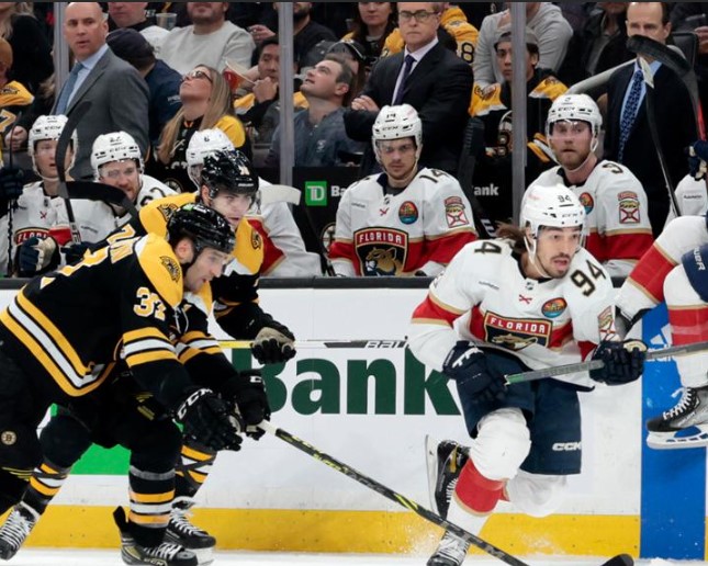 Хоккей. НХЛ. Бостон - Флорида. Прогноз: Фора-1 (-1)