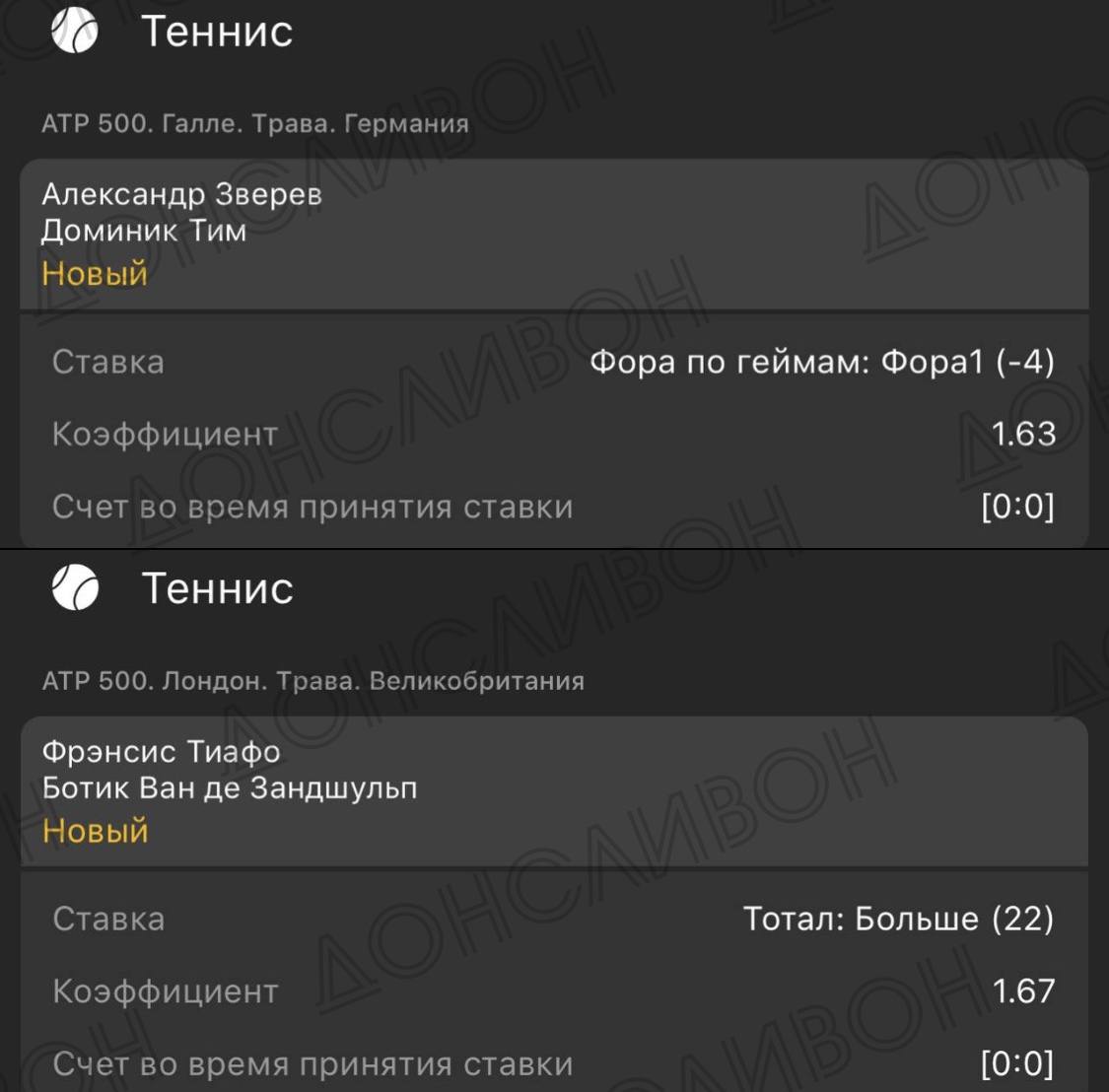 Теннис. АТР 500. Галле. Трава. Германия. Александр Зверев - Доминик Тим. Прогноз: Фора по геймам: Фора1 (-4)