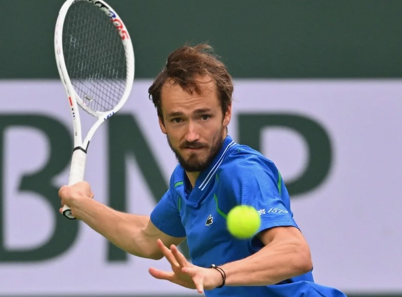 Теннис. ATP 500. Медведев - Давидович Фокина. Прогноз: Тотал (20) Б