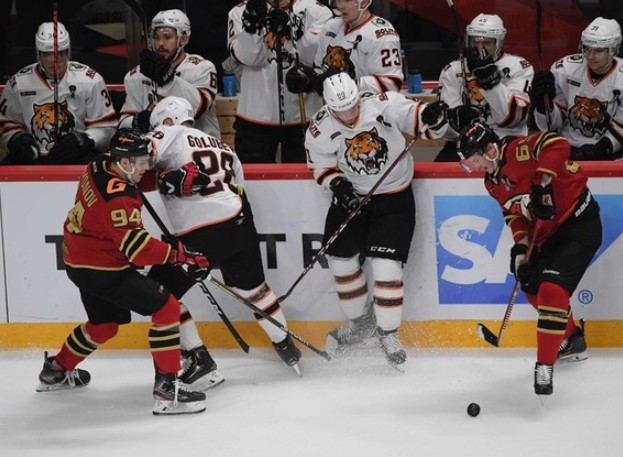 Хоккей. КХЛ. Авангард — Амур. Прогноз: Тотал (4.5) Б