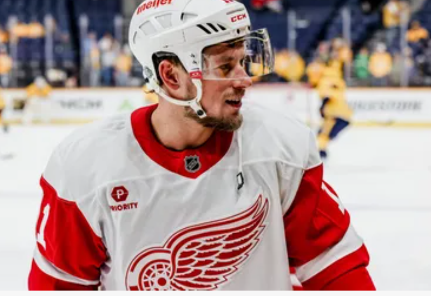 Хоккей. NHL. Детройт Ред Уингз — Эдмонтон Ойлерз. Прогноз: ИТ-1 (2.5) Б