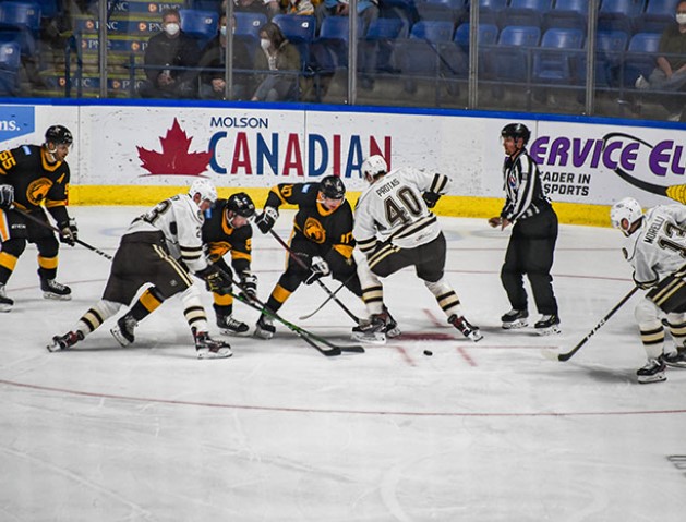 Хоккей. AHL. Уилкс Барре/Скрэнтон Пингвинз — Бриджпорт Саунд Тайгерз. Прогноз: П1 с ОТ