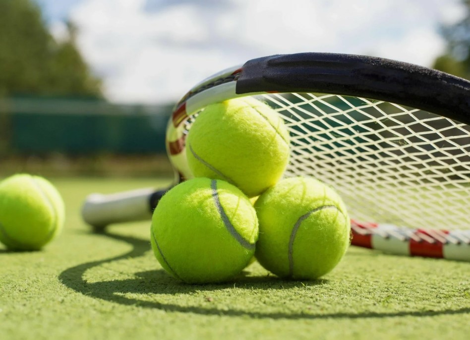 Теннис. Челленджер. Челленджер Темуко. Ковачевич - Флорес. Прогноз: Фора 1 (-5.5)