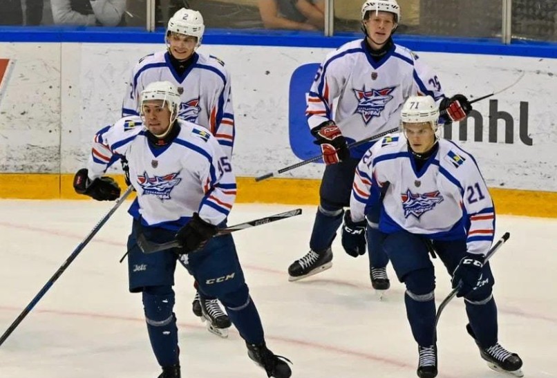 Хоккей. МХЛ. Русские Витязи - Хорс-Карелия. Прогноз: ИТ-1 (4) Б