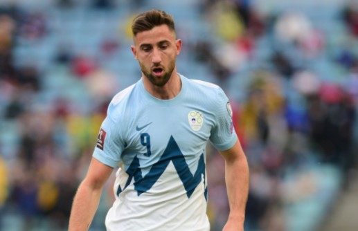 Футбол. Т. матчи. Северная Македония - Словения. Прогноз: Фора 1 (0)