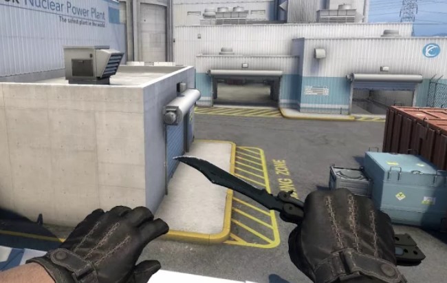 CS:GO. Animal Squad vs Sylyx. Прогноз: П1