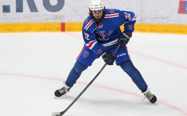 Хоккей. Кубок Губернатора. СКА-1946 - Академия Михайлова. Прогноз: Фора 2 (+1.5)