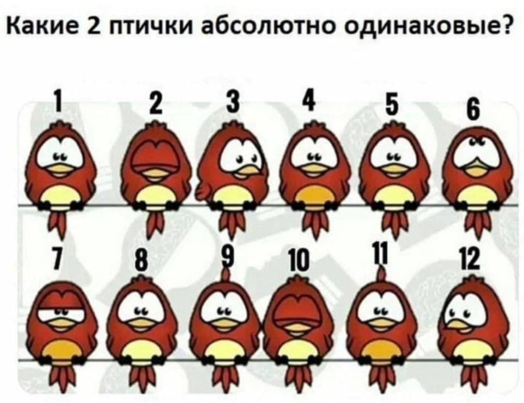 Какие птички одинаковые - Загадка!
