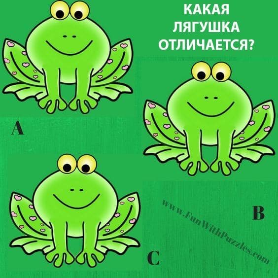 Какая лягушка отличается? - Загадка!