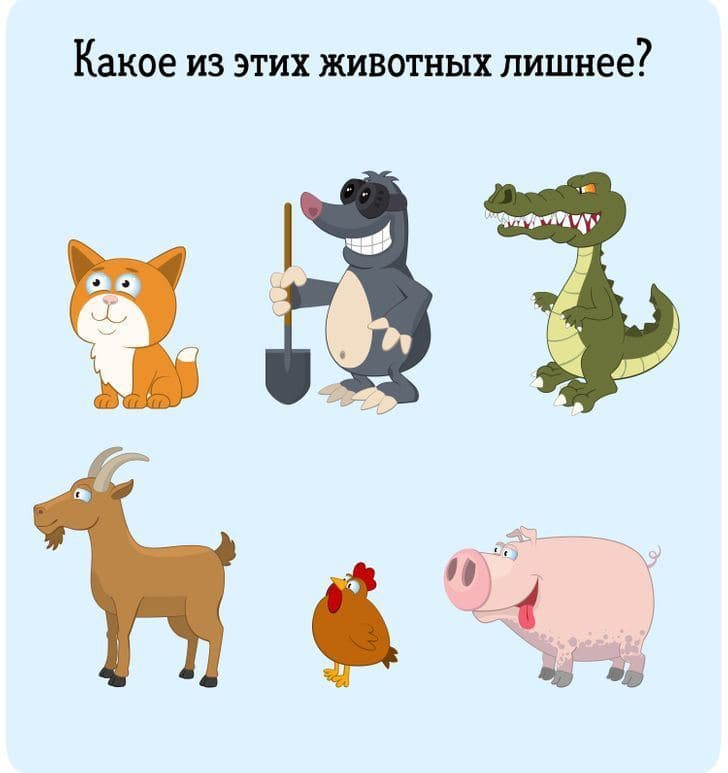 Какое из этих животных лишнее? - Загадка!