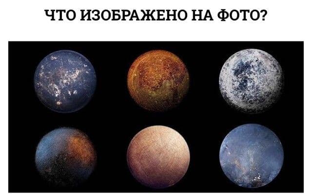Что изображено на фото? - Загадка!