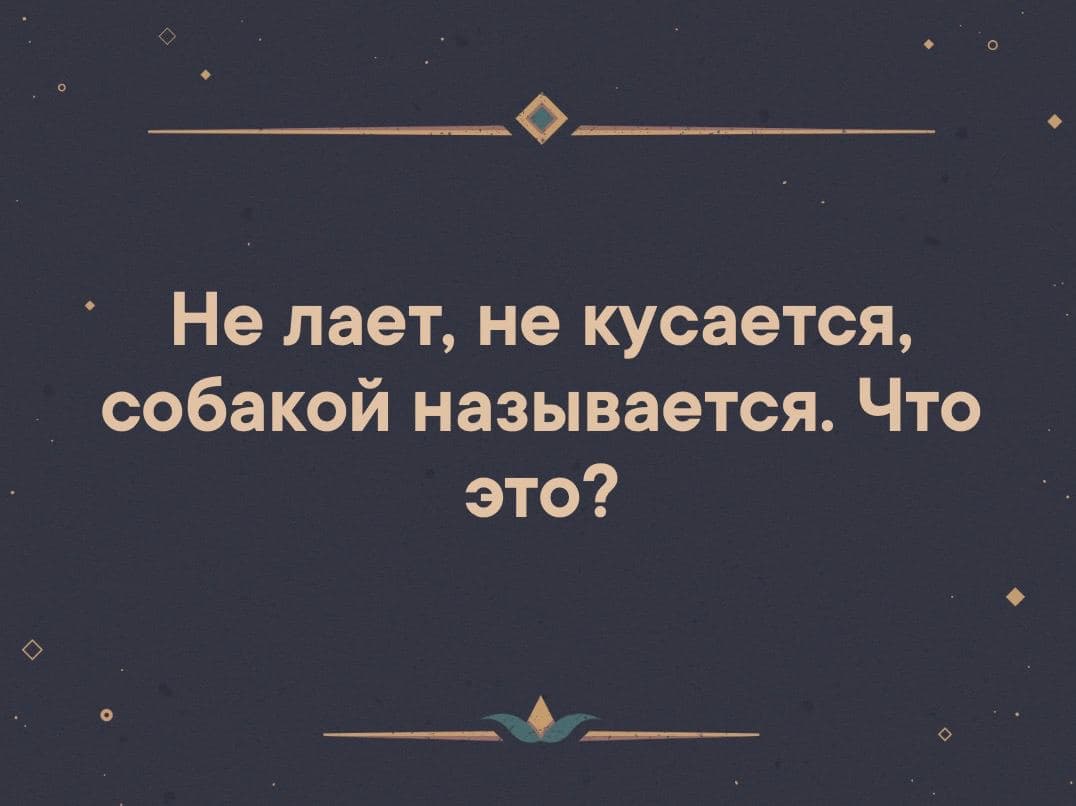 Не лает, не кусается, собакой называется. Что это? - Загадка!