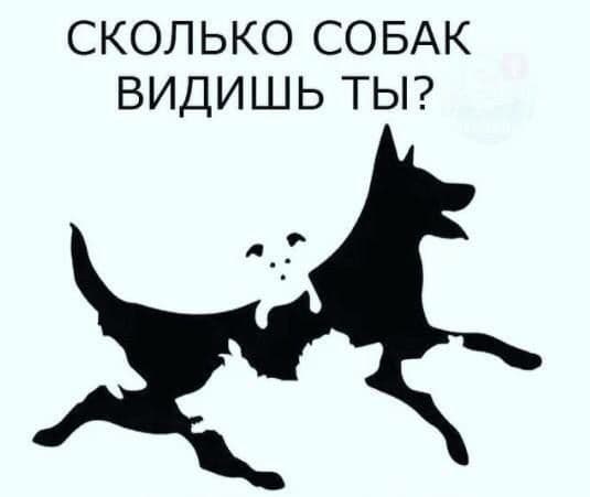 Найдите всех собак на картинке. - Загадка!