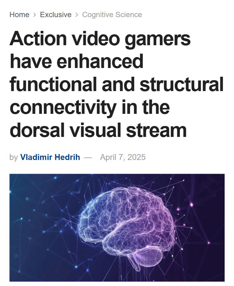 Экшн-видеоигры могут способствовать улучшению мозговых связей — исследование.