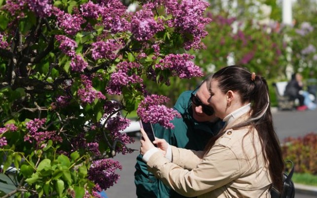 Срыв сирени может привести к серьезным штрафам и уголовному наказанию