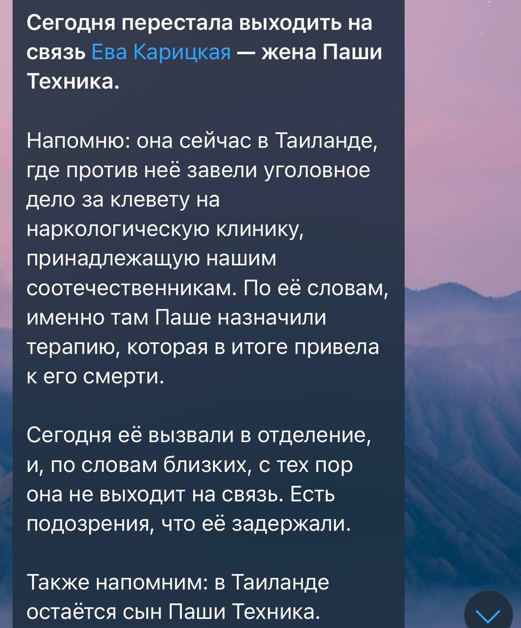 Бывшую жену Паши Техника арестовали в Тайланде за клевету.