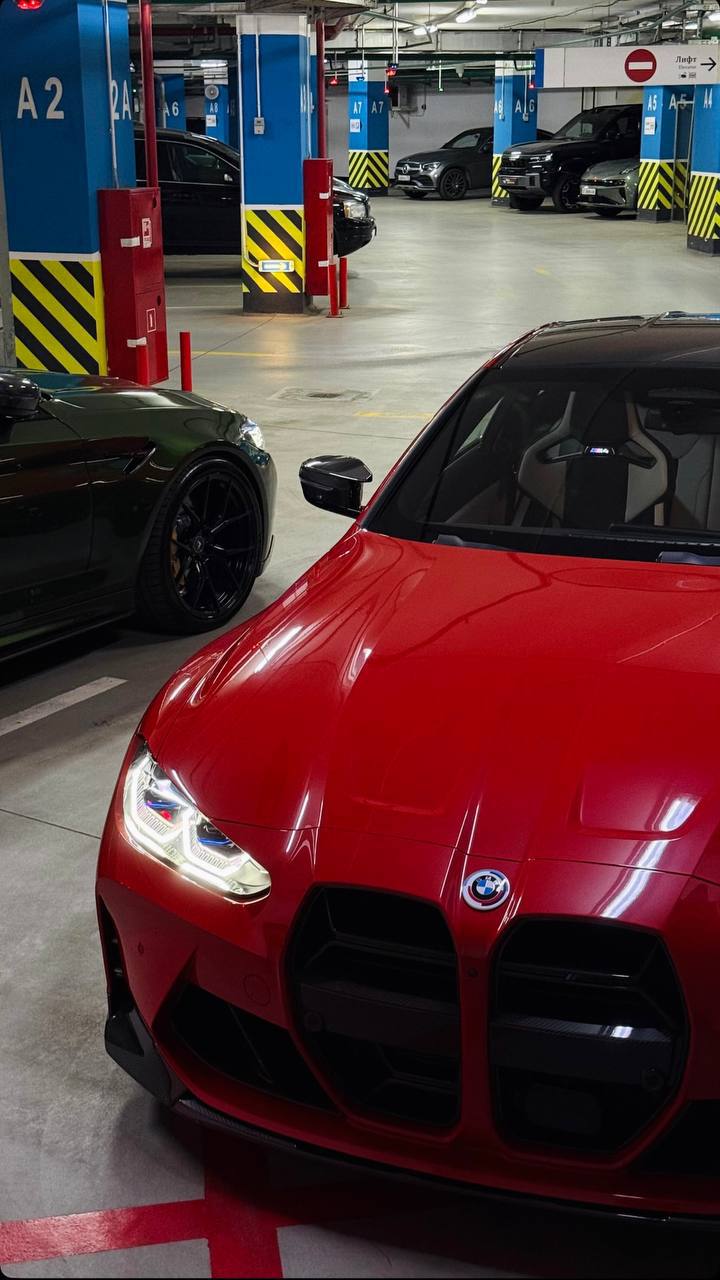 ТГ юзер инвестировал 2 000$ в подарки за звезды Plush Pepe и теперь у него 0.5 млн $