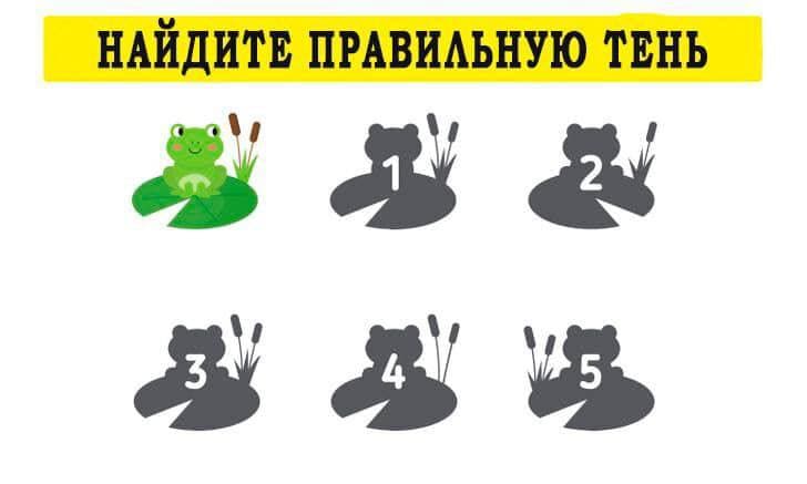 Найдите правильную тень - Загадка!