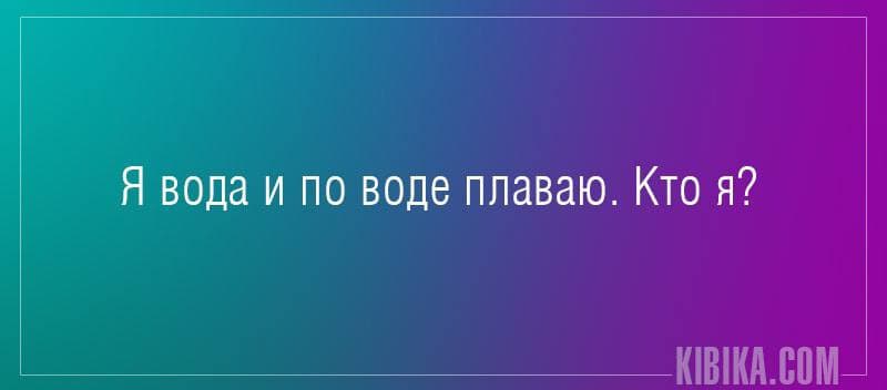 Я вода и по воде плаваю. Кто я? - Загадка!