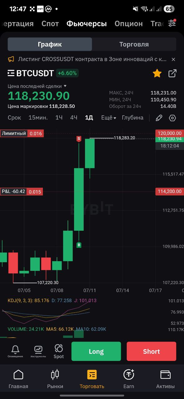 Bitcoin новый максимум > 118000$