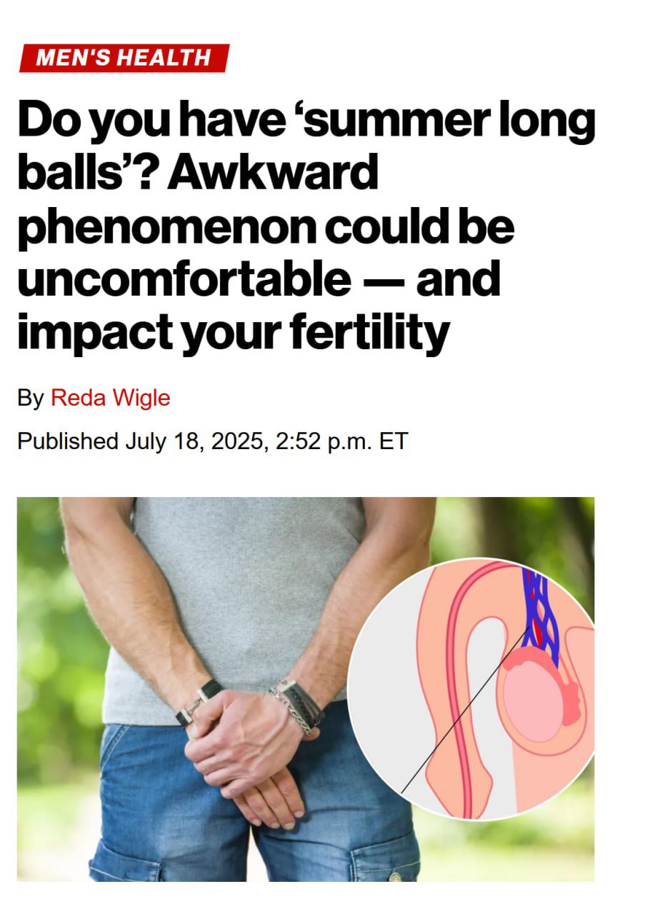 Летнее явление: как жара влияет на мужские яйца