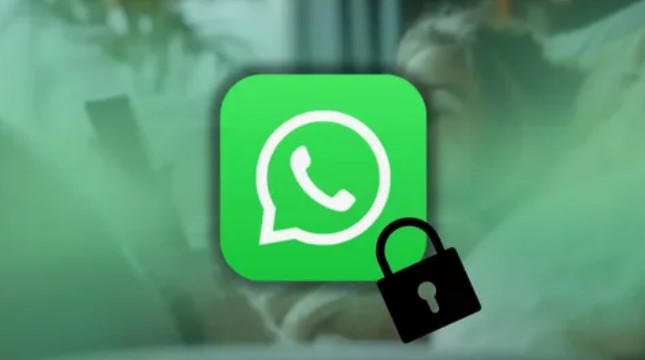 Возможная блокировка WhatsApp* в России: что известно