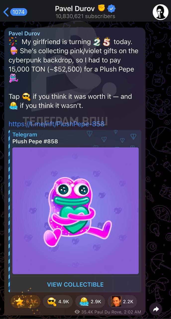 Павел Дуров подарил своей девушке Юлии Вавиловой NFT за 4 миллиона рублей