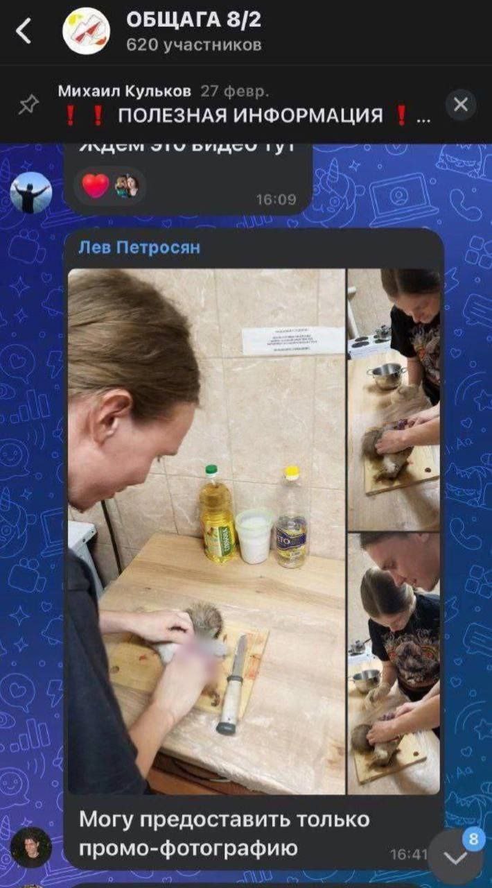 В Новосибирске студенты поймали и съели белку