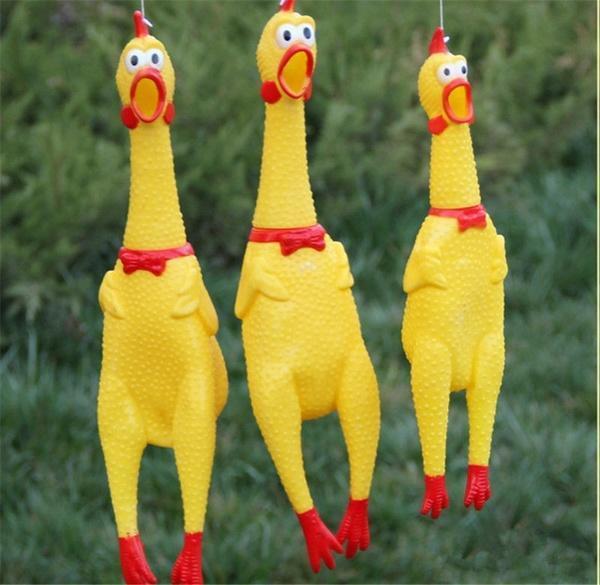 В Таиланде женщина 10 лет страдала от курицы-игрушки соседа