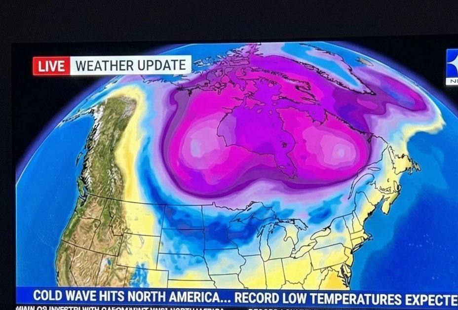Северную Америку накрыло гигантскими аниме-сиськами