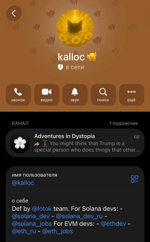 Родственница отдала мошеннику 9 редких Scared Cat на $25 000. Garfield ушёл навсегда!