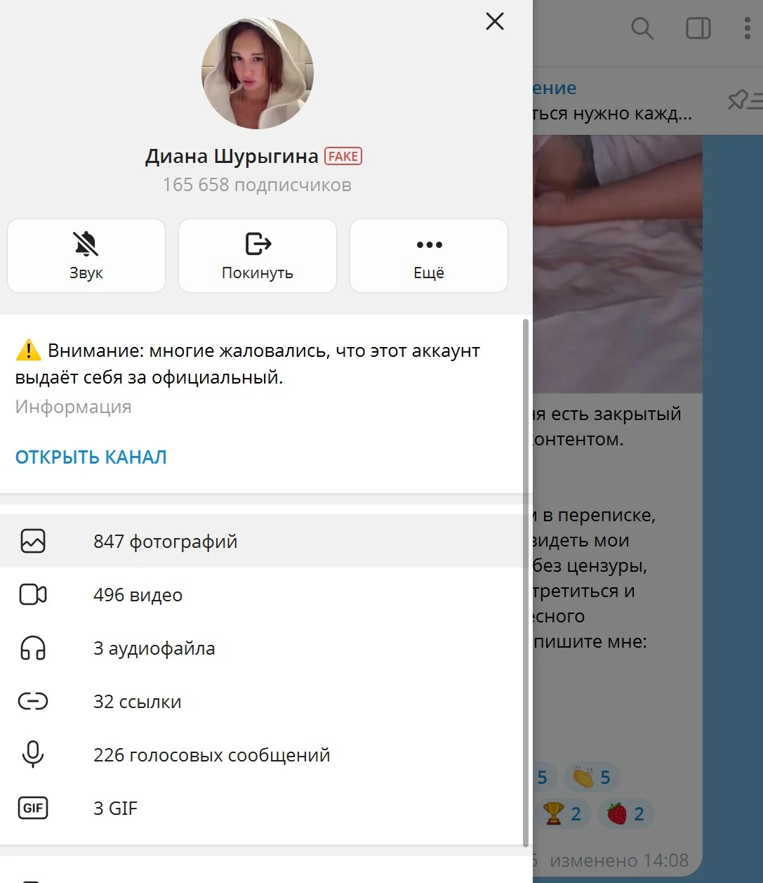 Телеграм канала Дианы Шурыгиной получил знак FAKE