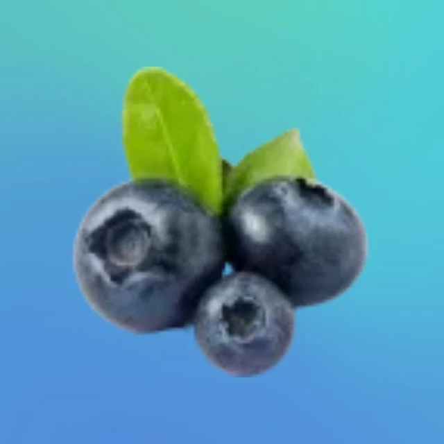 Секретный схрон