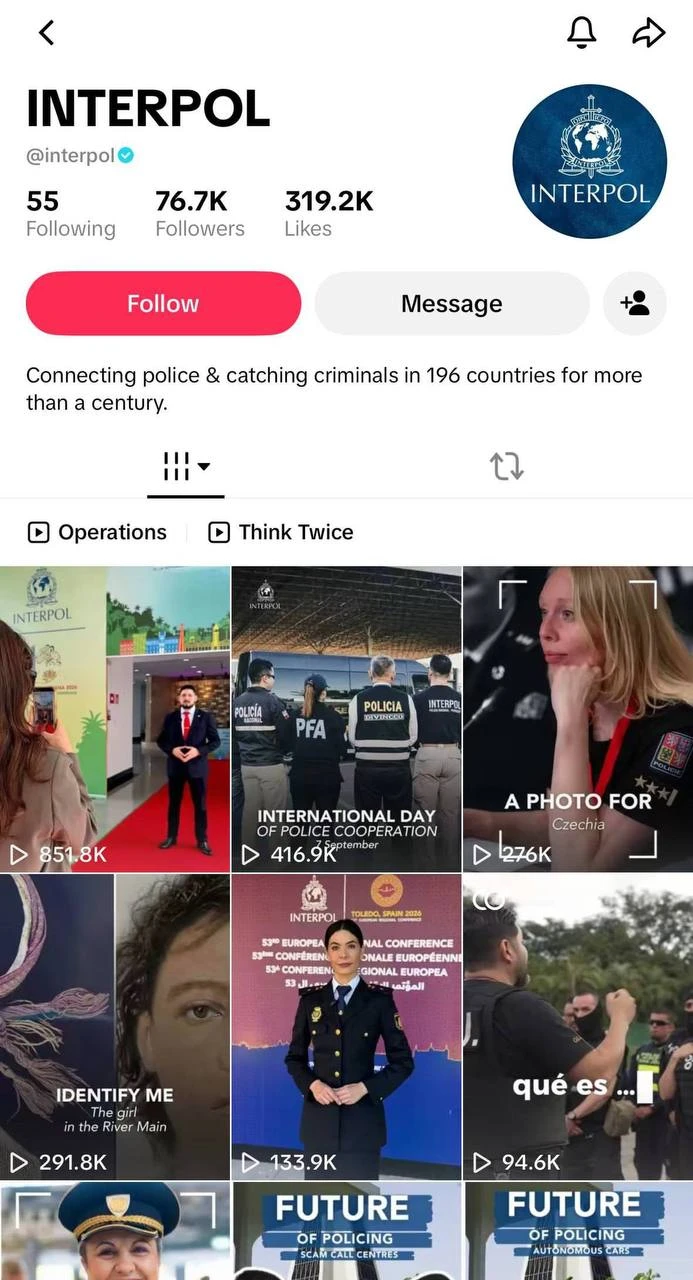 Фанаты Меллстроя устроили набег на TikTok Интерпола