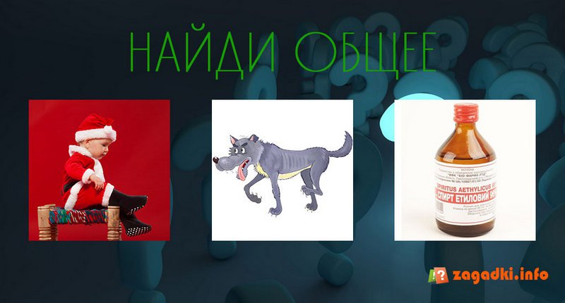 Найди общее - Загадка!