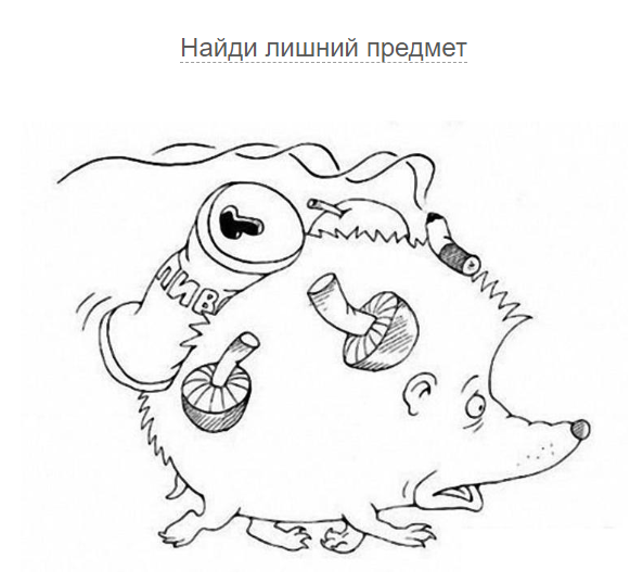 Найдите лишний предмет (Напишите название) - Загадка!