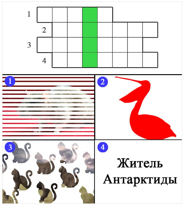 Разгадайте кроссворд - Загадка!