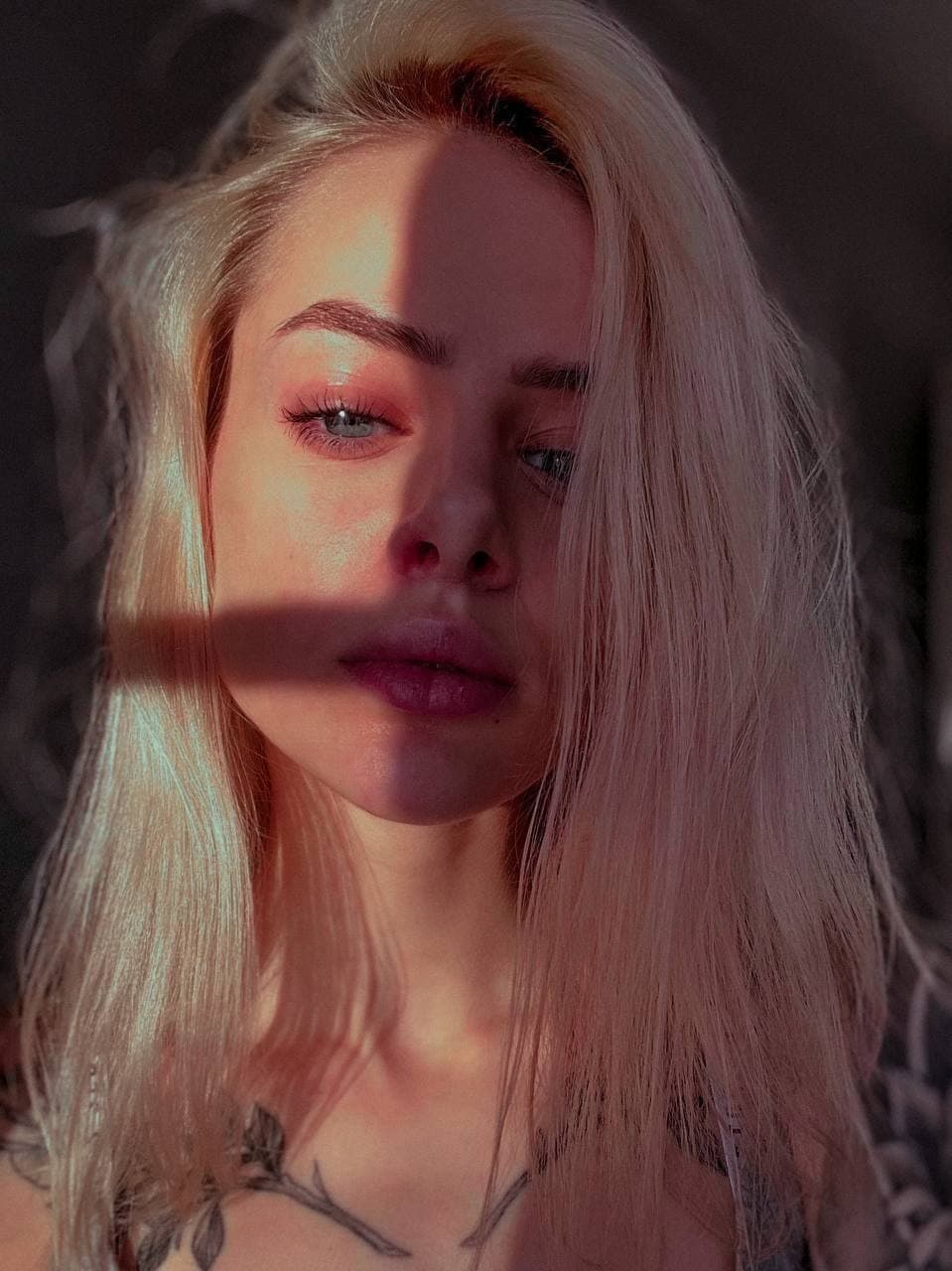 tati (Gtfobae) сливы фото и видео