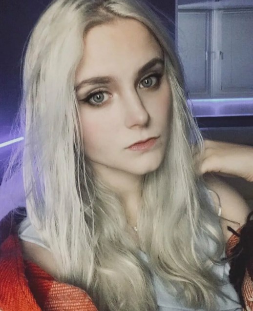 Modestal сливы фото и видео