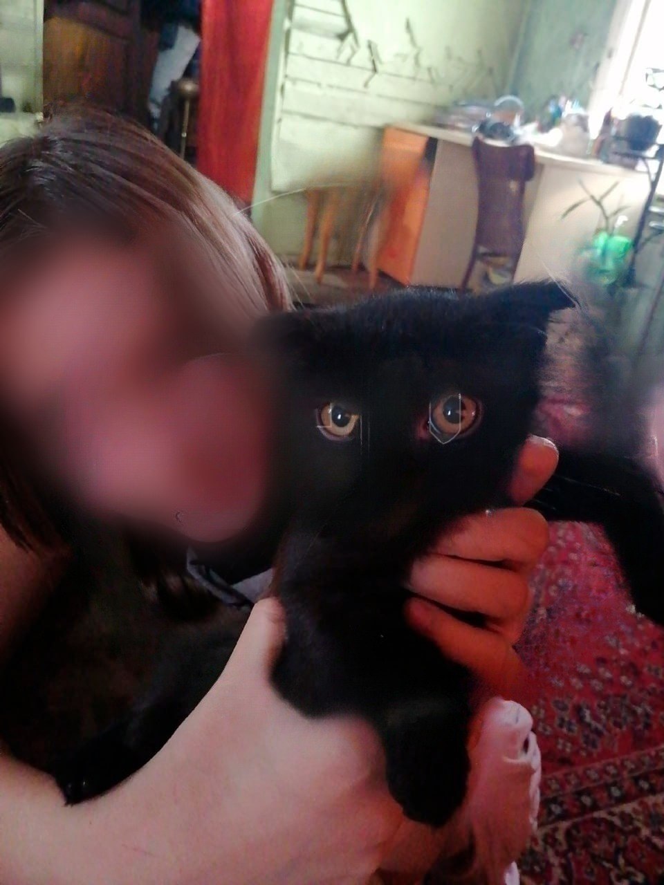 12-летняя школьника хотела взрослой жизни и ушла из дома