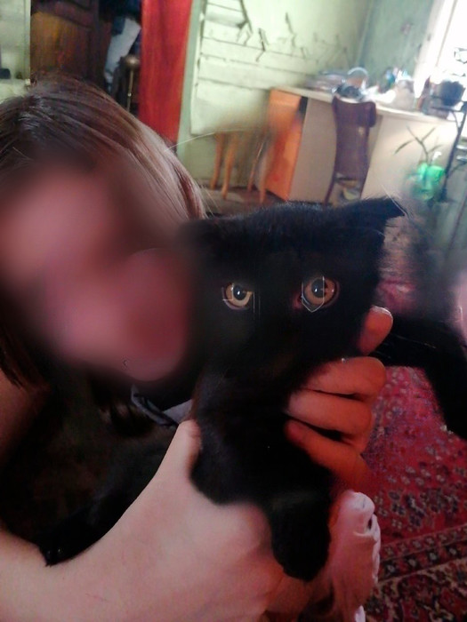 12-летняя школьника хотела взрослой жизни и ушла из дома