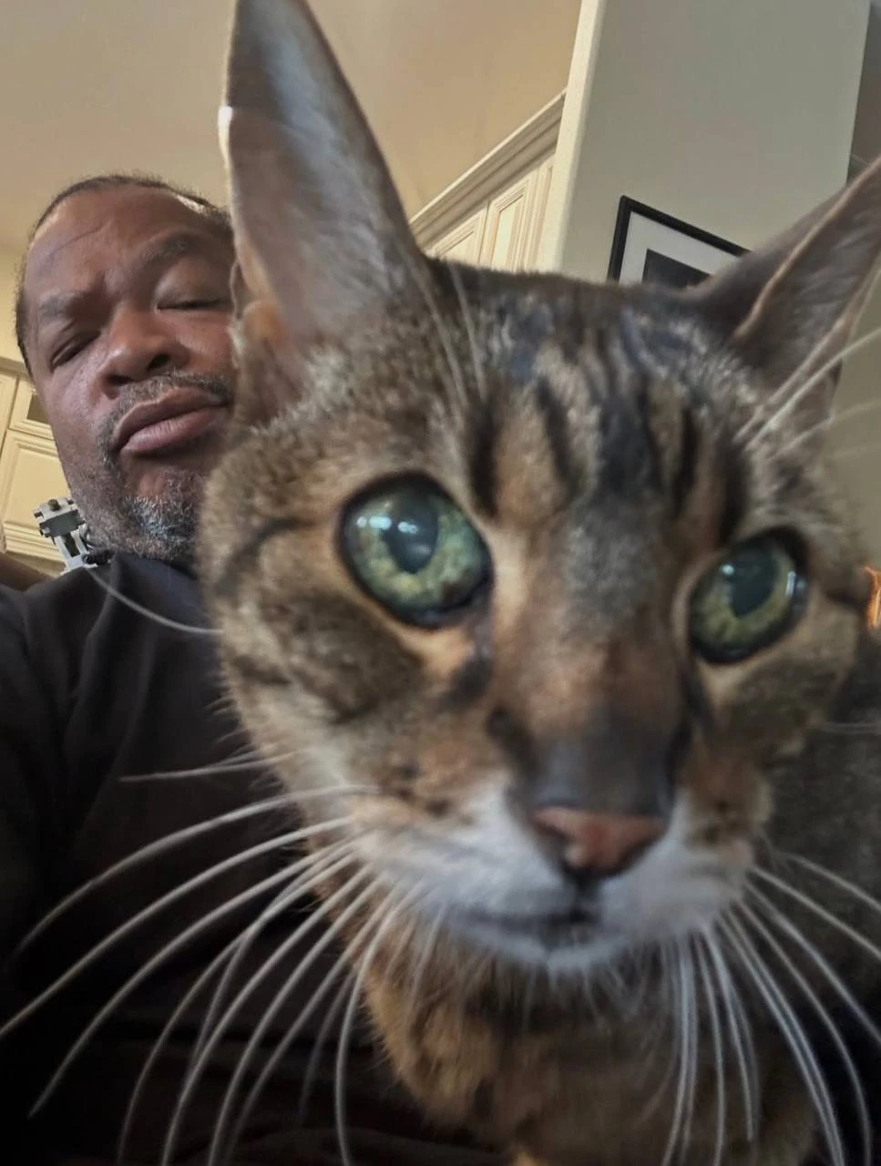 🐱 Xzibit превратился в котоблогера — и это лучшее, что случилось с интернетом