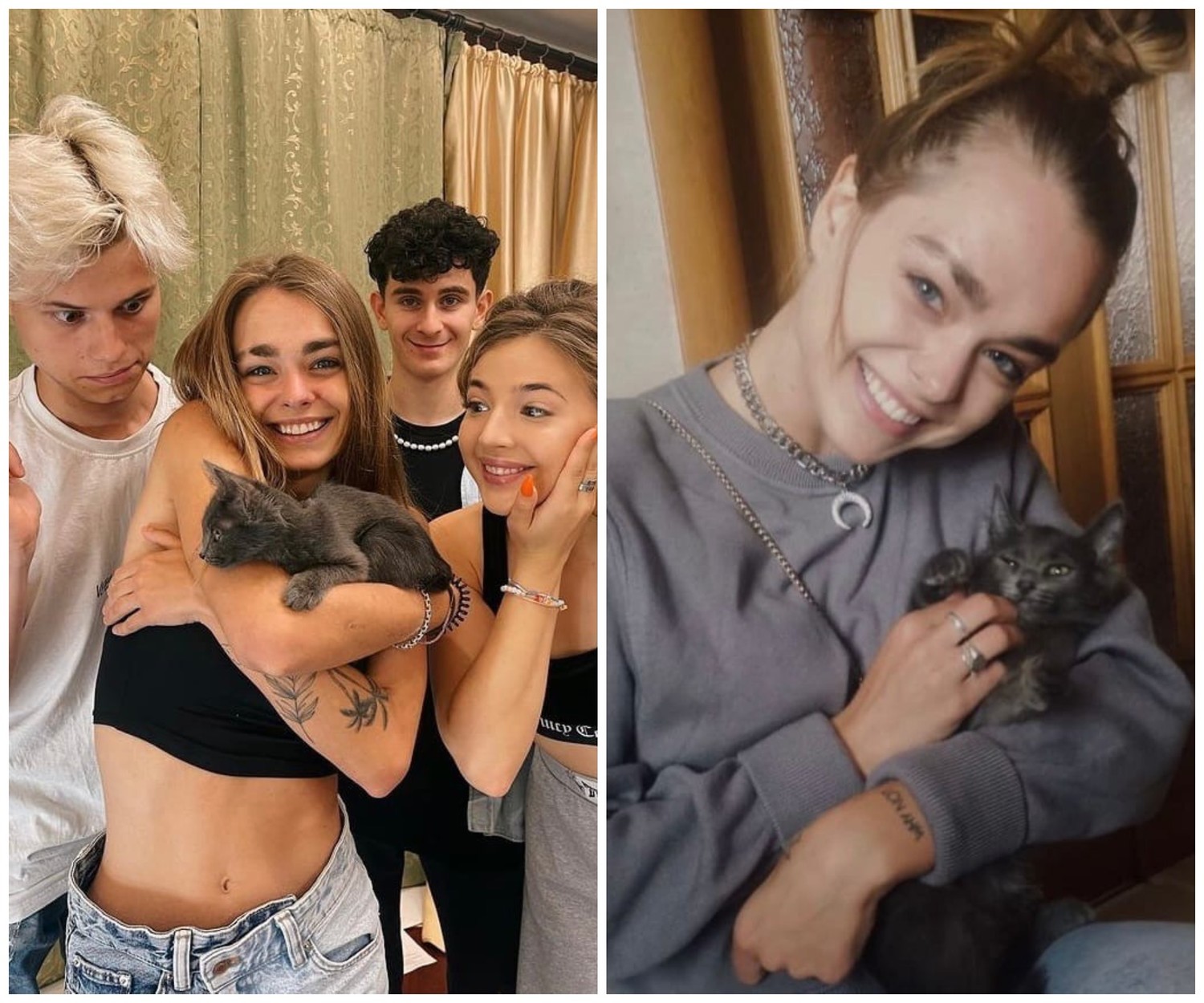 Кадр из новости У Dream Team House «пополнение» в виде котенка