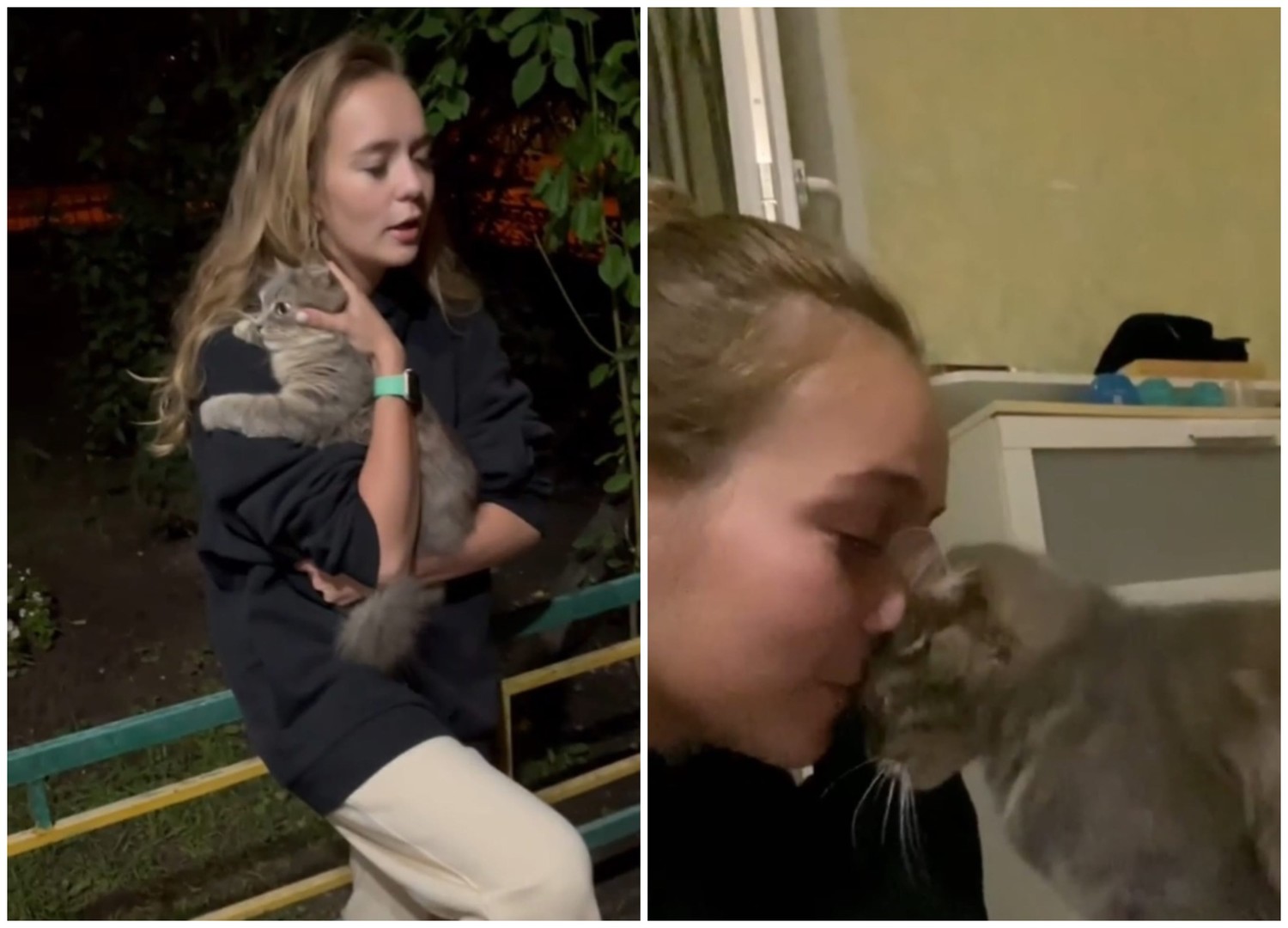 Кадр из новости Маша Маева нашла свою кошку Капу