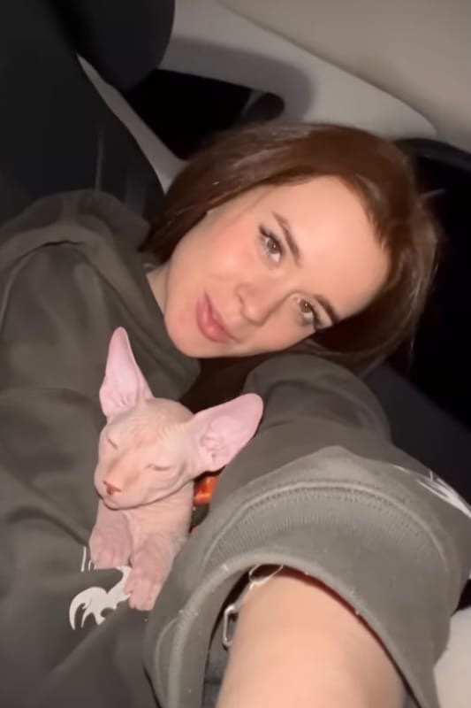 Настя Рыжик высказалась по поводу приобретения своего котенка