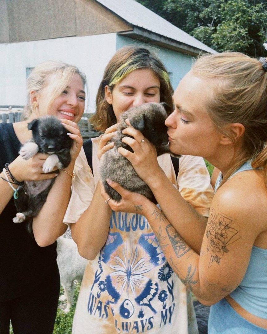 Большая часть Дрим Тима посетила приют для животных в Казахстане