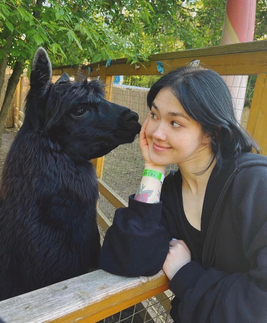 Анастасиз постепенно возвращается к своей аудитории