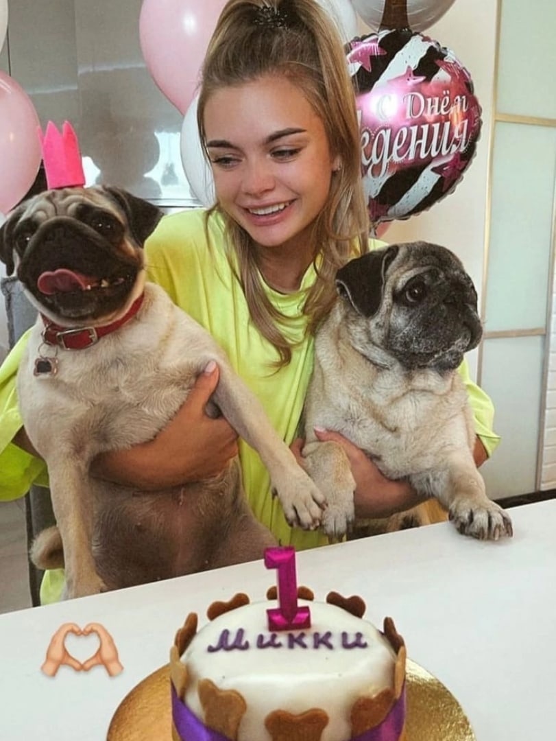 У мопса Ищук и Блога был праздник